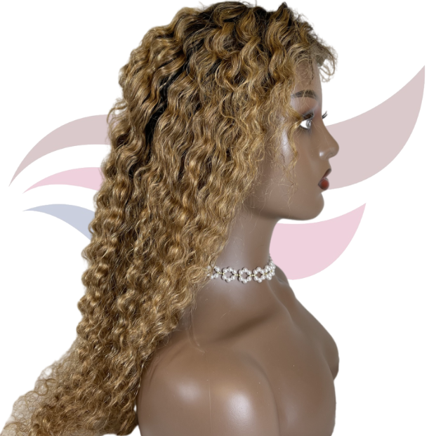 Natural Look 4*4 Lace Wig Curly Hair Ombre Wigs 100 Human Hair Curly Lace Closure Wigs Human Hair
